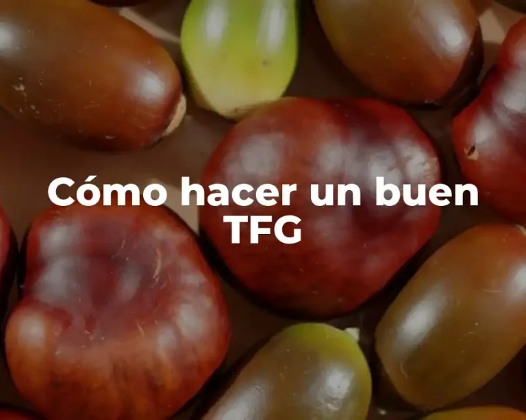 Cómo hacer un buen TFG