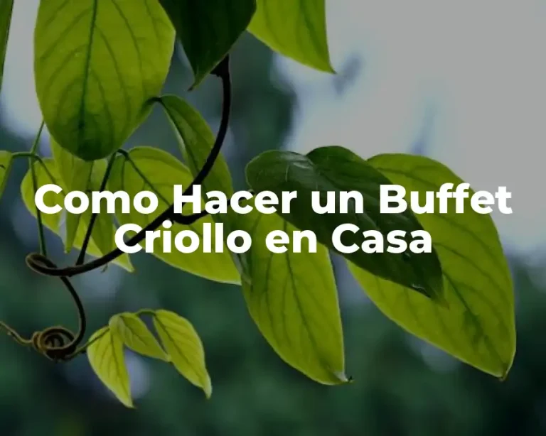 Como Hacer un Buffet Criollo en Casa