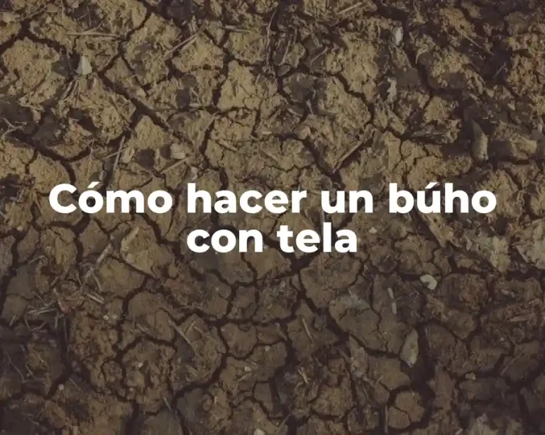 Cómo hacer un búho con tela