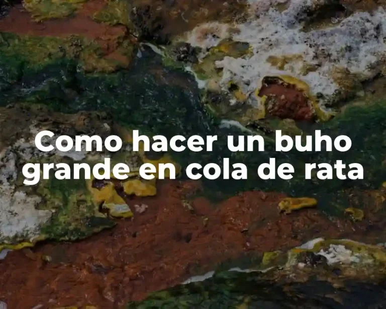 Como hacer un buho grande en cola de rata