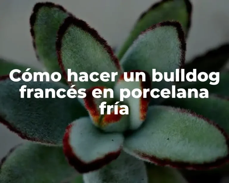 Cómo hacer un bulldog francés en porcelana fría