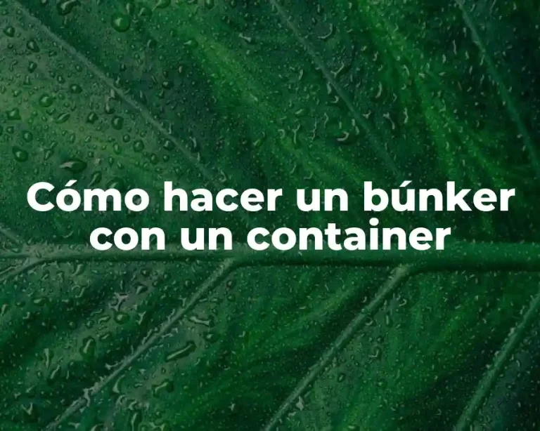 Cómo hacer un búnker con un container