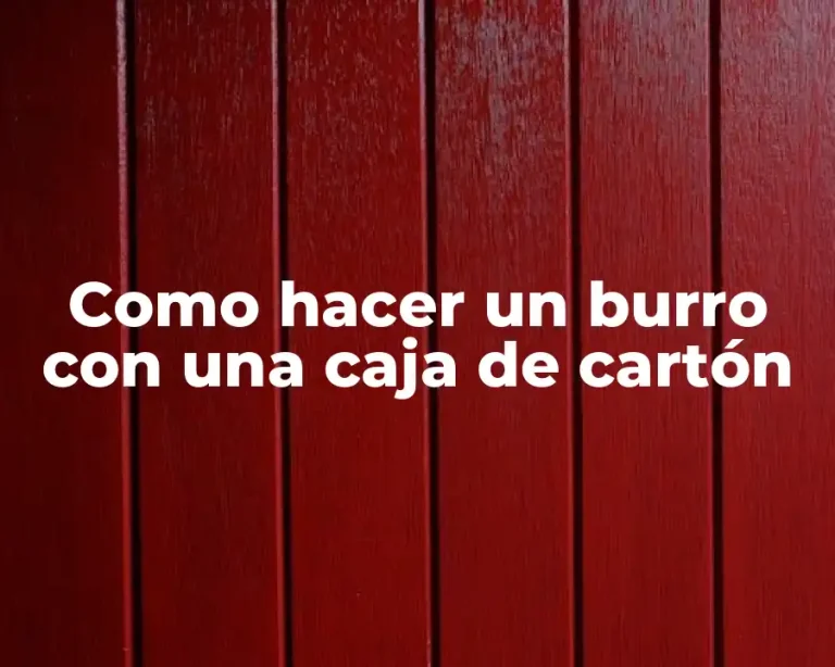 Como hacer un burro con una caja de cartón