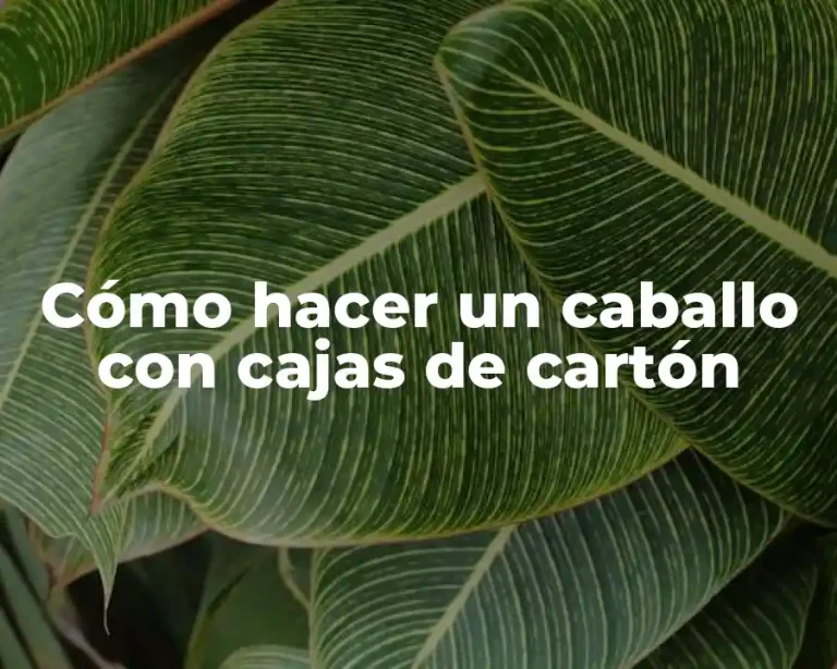 Cómo hacer un caballo con cajas de cartón