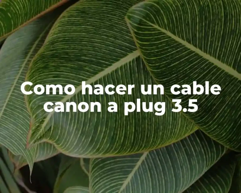 Como hacer un cable canon a plug 3.5