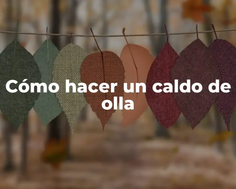 Cómo hacer un caldo de olla