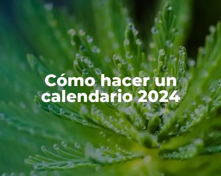 Cómo hacer un calendario 2024