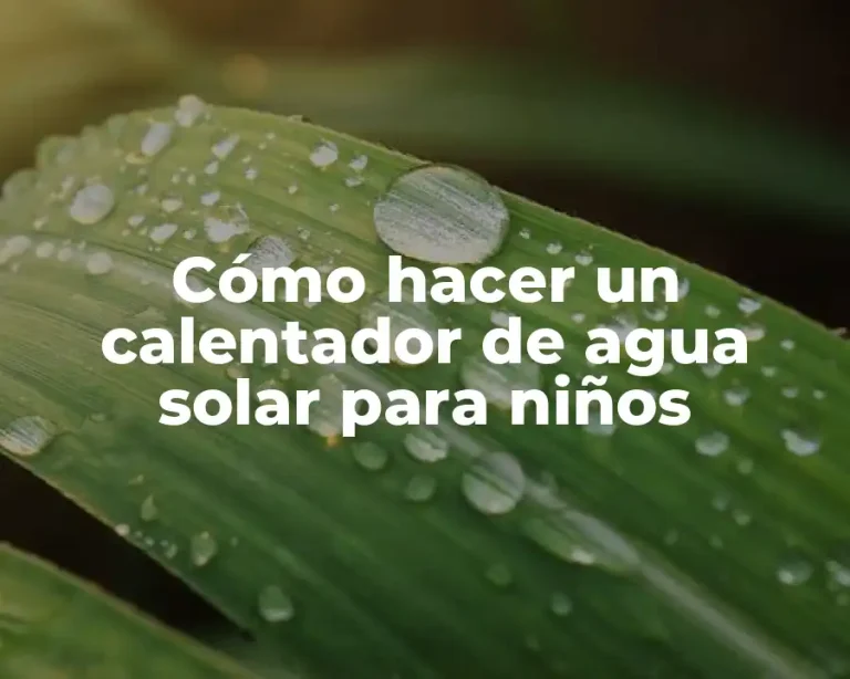 Cómo hacer un calentador de agua solar para niños