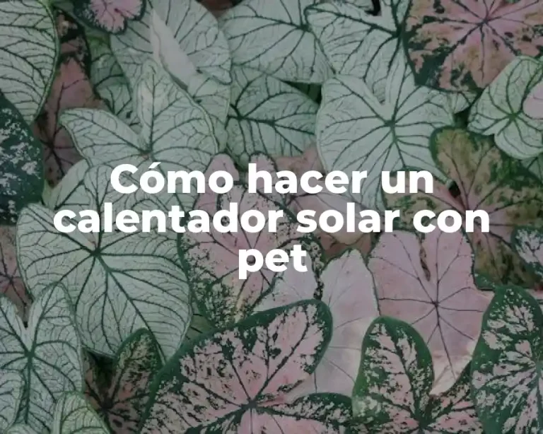 Cómo hacer un calentador solar con pet