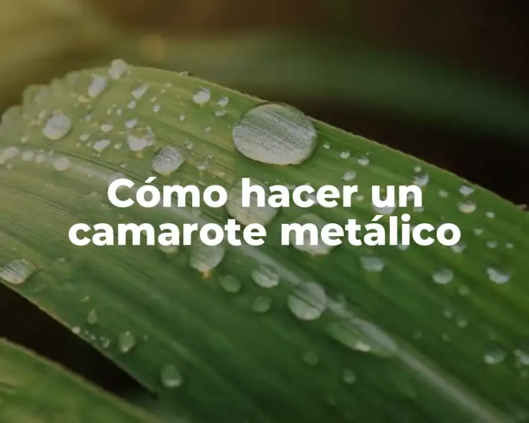 Cómo hacer un camarote metálico