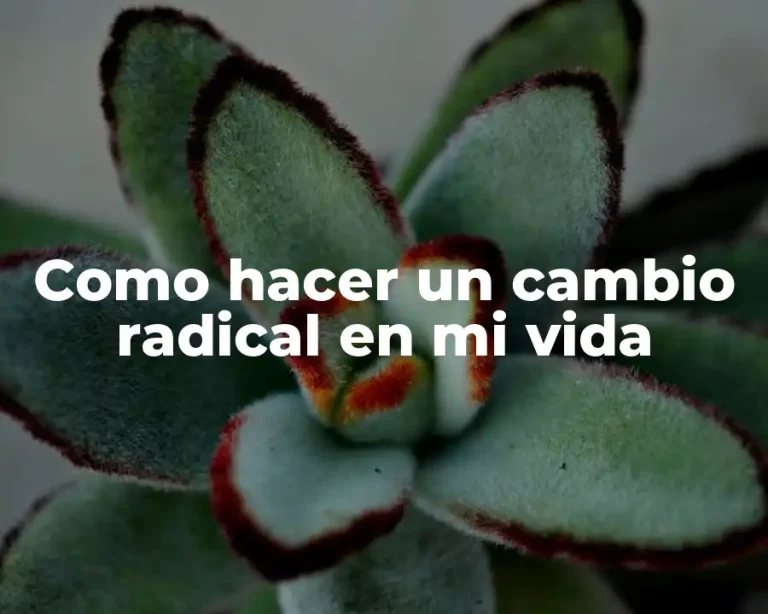 Como hacer un cambio radical en mi vida