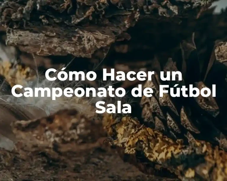Cómo Hacer un Campeonato de Fútbol Sala