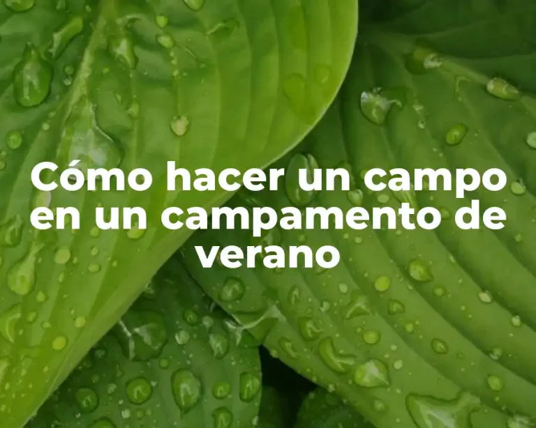 Cómo hacer un campo en un campamento de verano