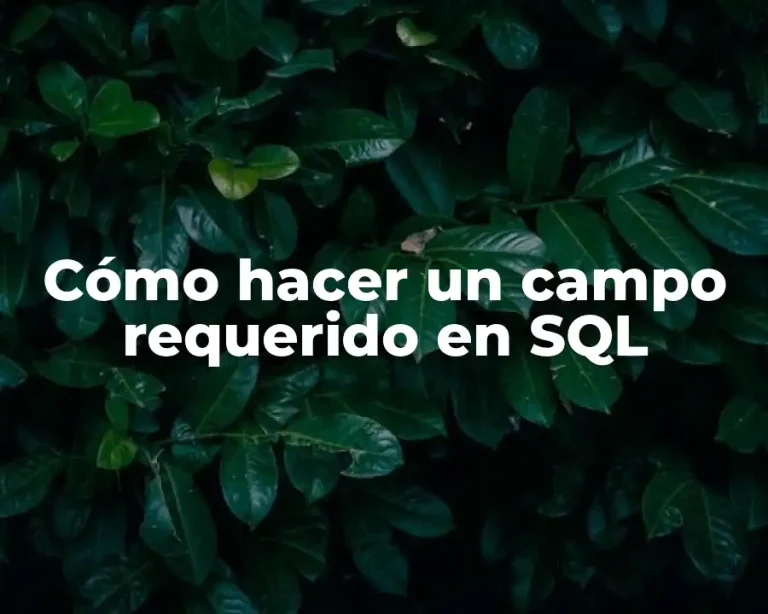 Cómo hacer un campo requerido en SQL