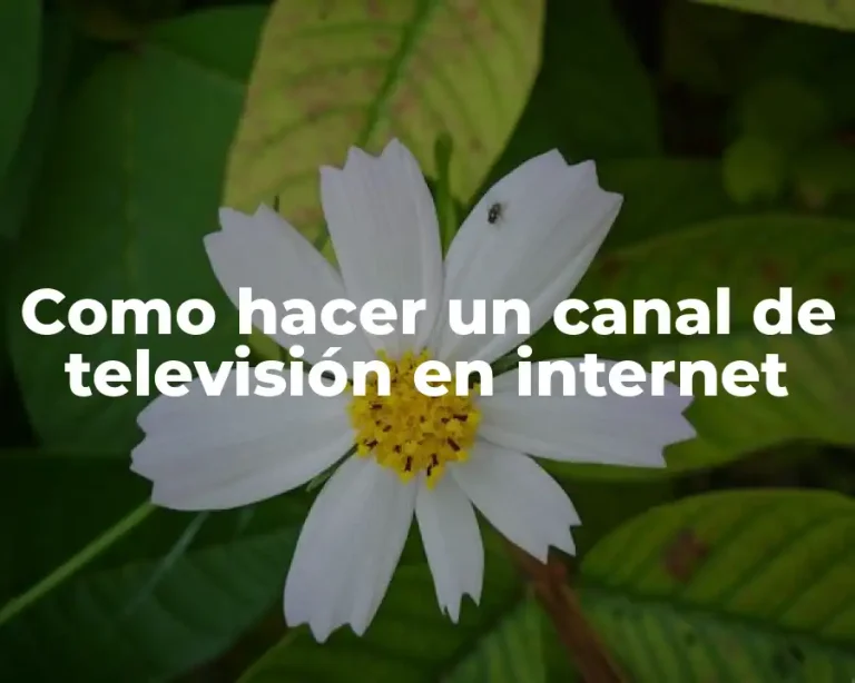 Como hacer un canal de televisión en internet