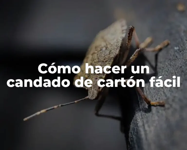 Cómo hacer un candado de cartón fácil