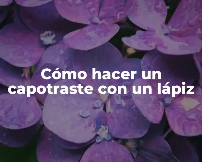 Cómo hacer un capotraste con un lápiz
