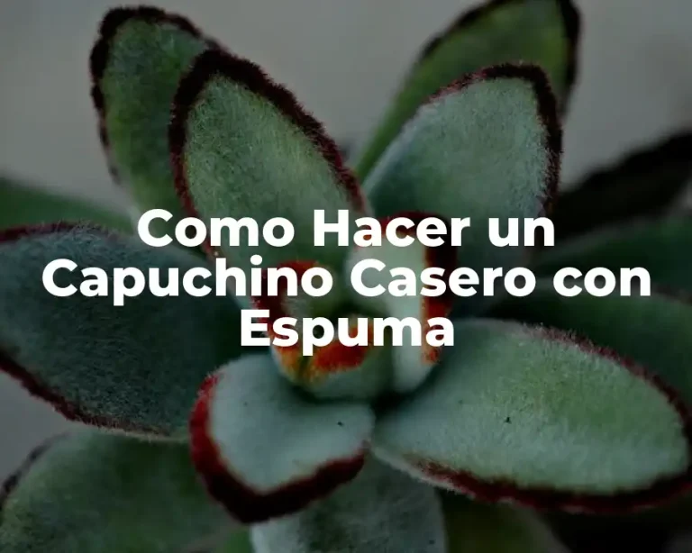 Como Hacer un Capuchino Casero con Espuma