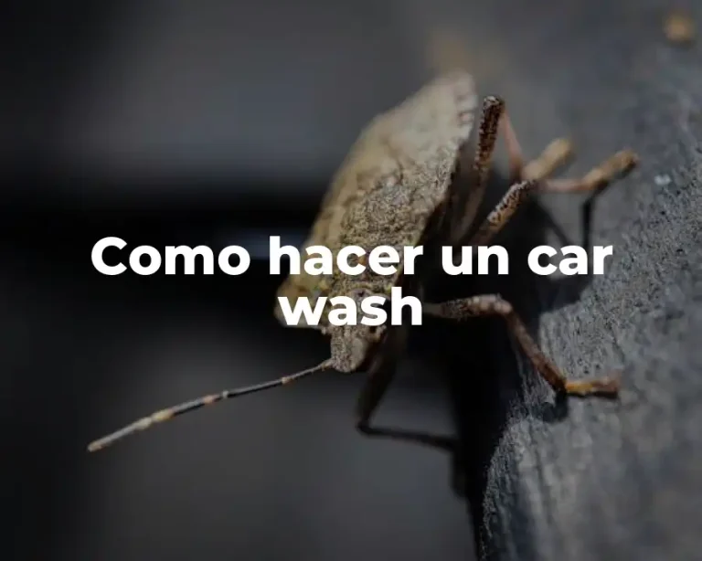 Como hacer un car wash