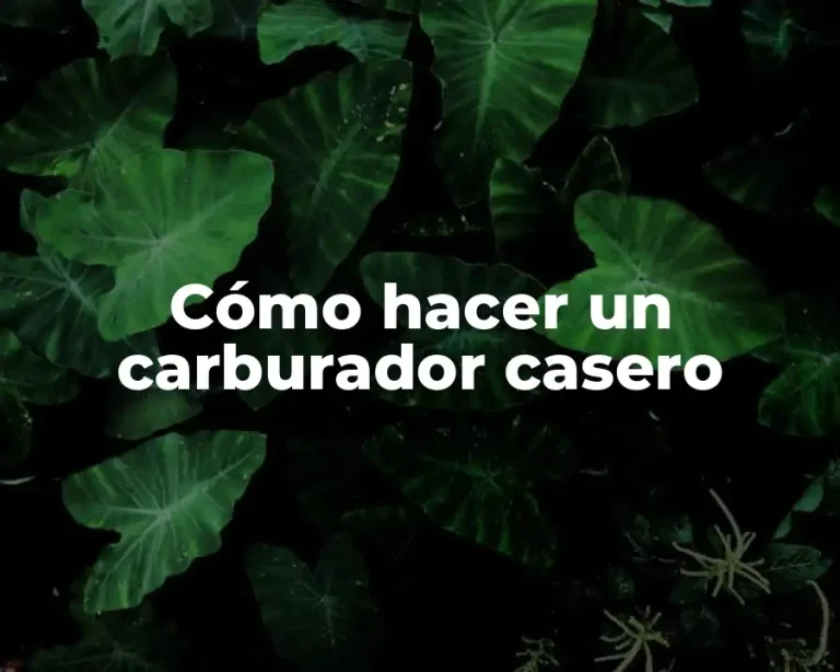 Cómo hacer un carburador casero