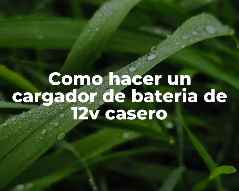 Como hacer un cargador de bateria de 12v casero