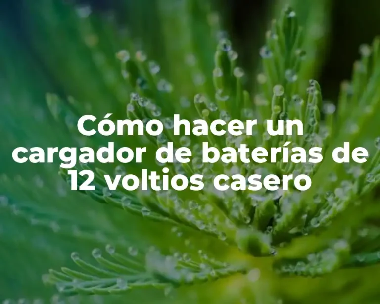 Cómo hacer un cargador de baterías de 12 voltios casero