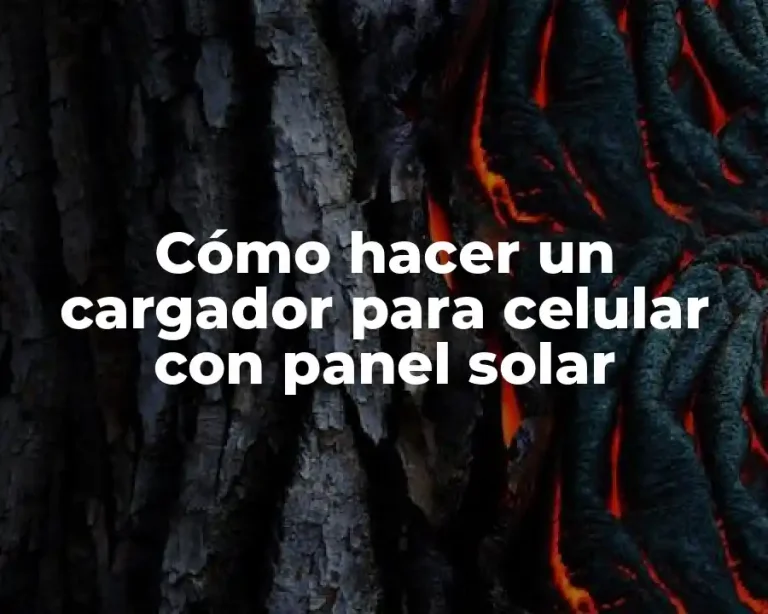 Cómo hacer un cargador para celular con panel solar