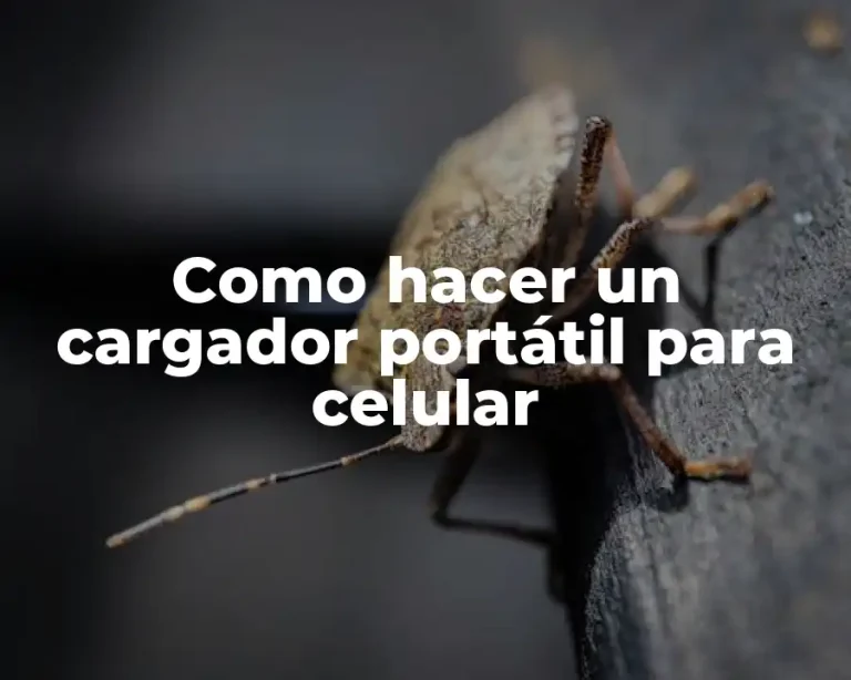 Como hacer un cargador portátil para celular