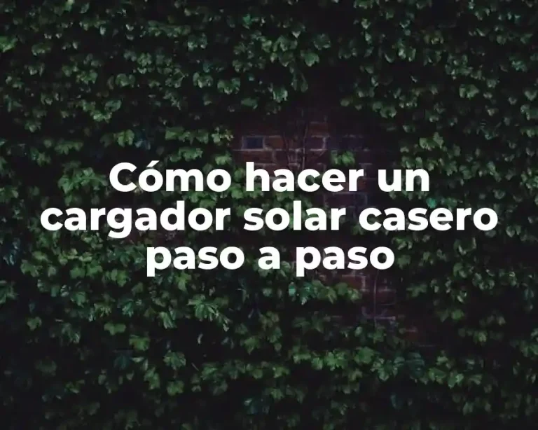 Cómo hacer un cargador solar casero paso a paso