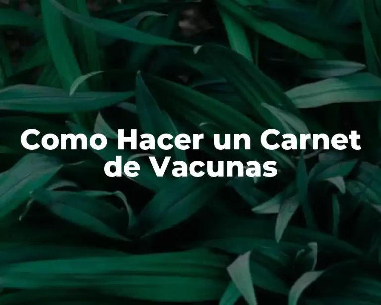 Como Hacer un Carnet de Vacunas