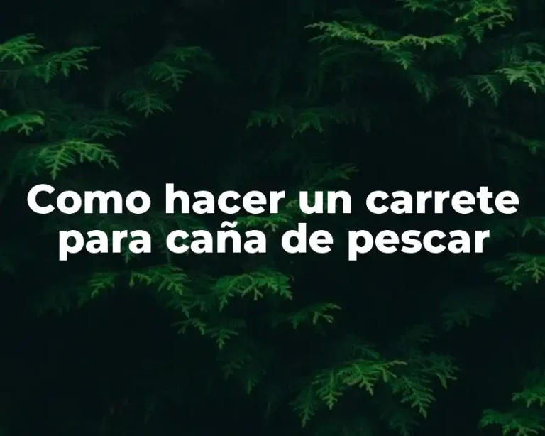 Como hacer un carrete para caña de pescar