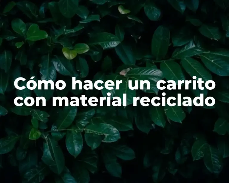 Cómo hacer un carrito con material reciclado