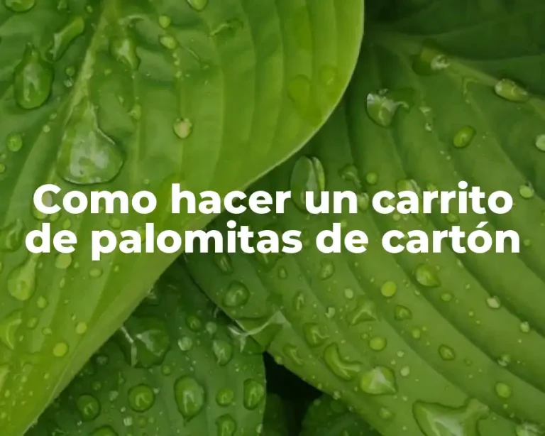 Como hacer un carrito de palomitas de cartón