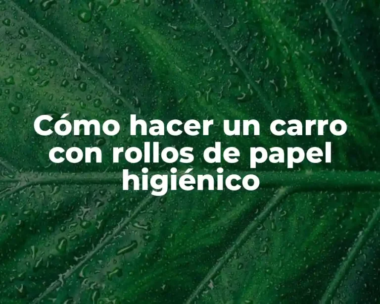 Cómo hacer un carro con rollos de papel higiénico