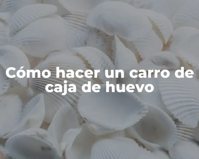 Cómo hacer un carro de caja de huevo