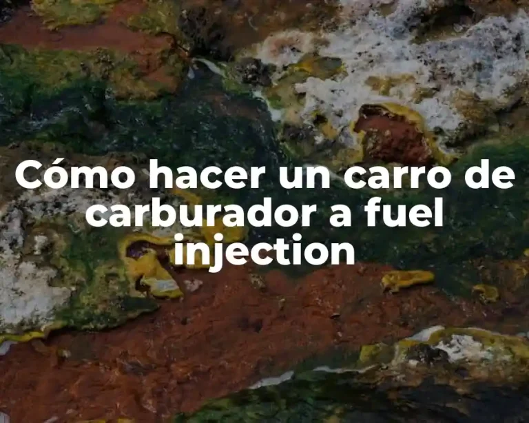 Cómo hacer un carro de carburador a fuel injection