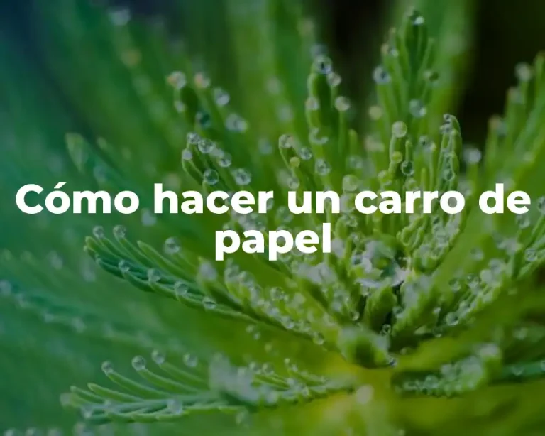 Cómo hacer un carro de papel