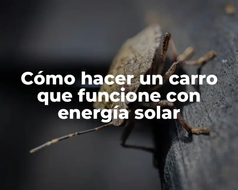 Cómo hacer un carro que funcione con energía solar