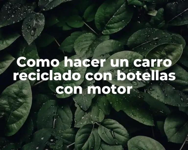 Como hacer un carro reciclado con botellas con motor