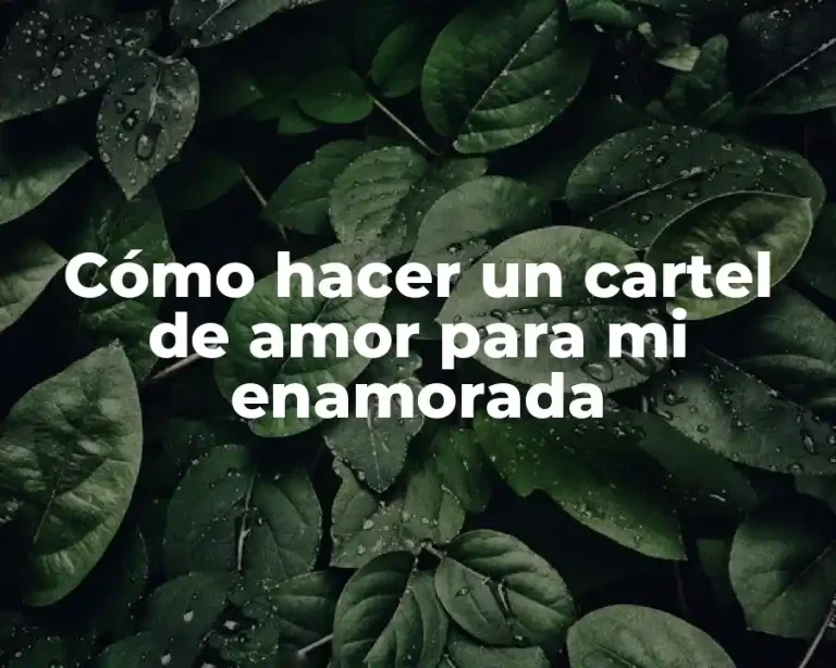 Cómo hacer un cartel de amor para mi enamorada