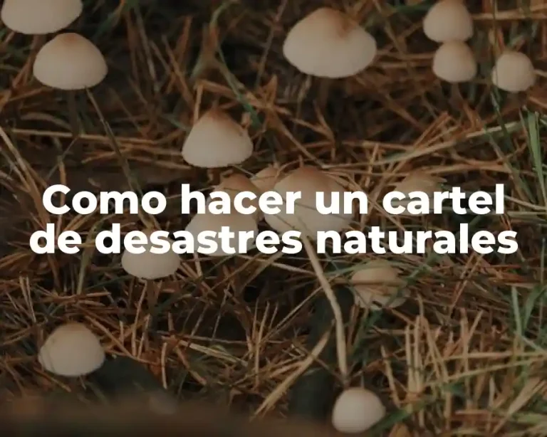 Como hacer un cartel de desastres naturales