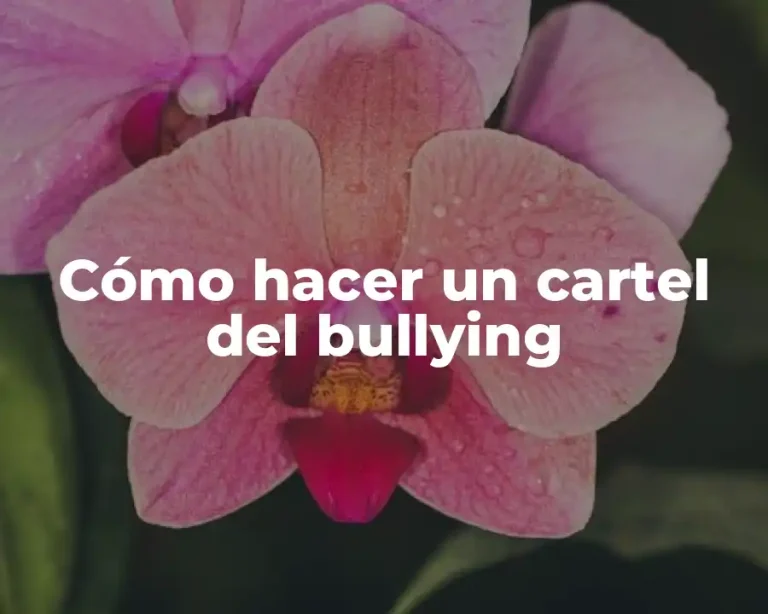 Cómo hacer un cartel del bullying
