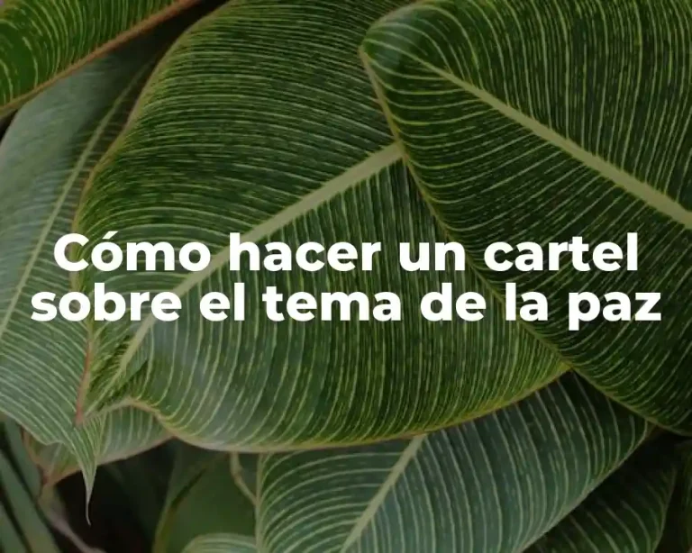 Cómo hacer un cartel sobre el tema de la paz