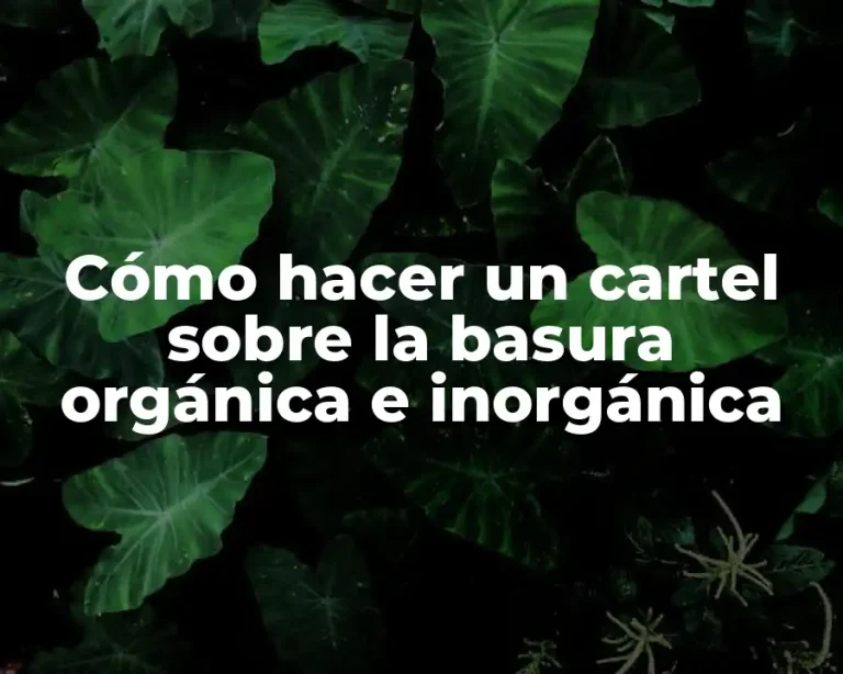 Cómo hacer un cartel sobre la basura orgánica e inorgánica