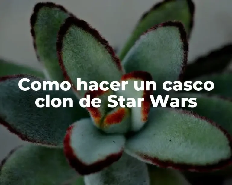 Como hacer un casco clon de Star Wars