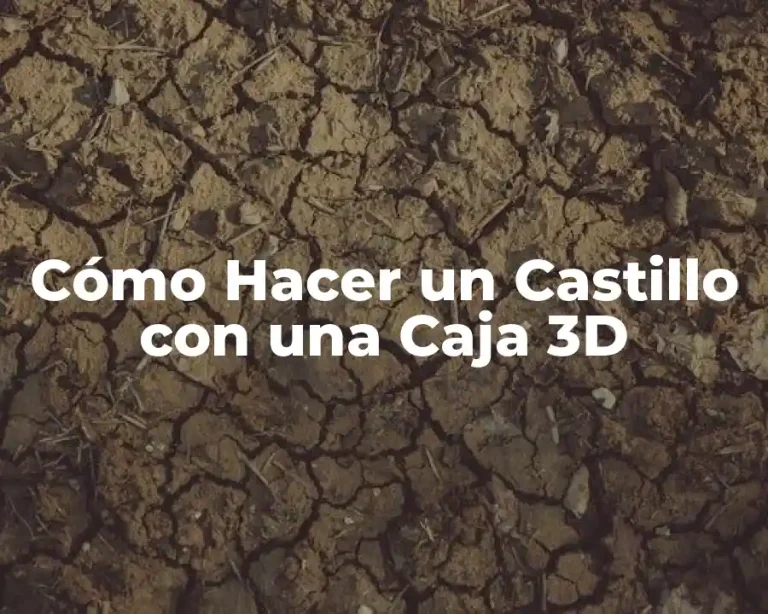 Cómo Hacer un Castillo con una Caja 3D