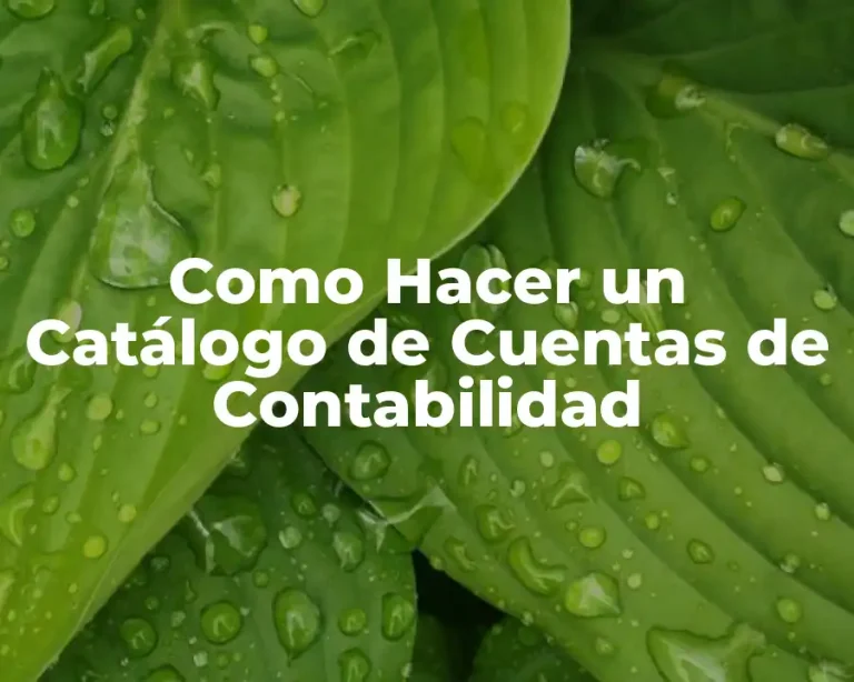 Como Hacer un Catálogo de Cuentas de Contabilidad