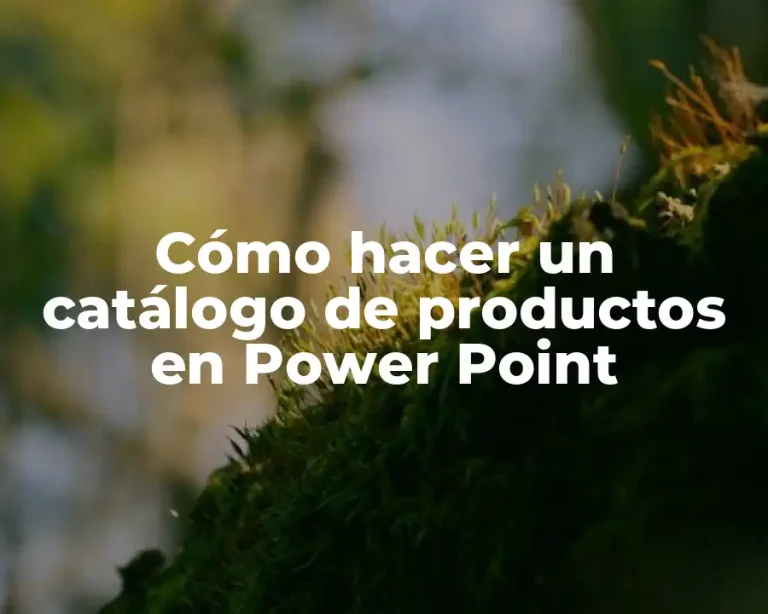 Cómo hacer un catálogo de productos en Power Point
