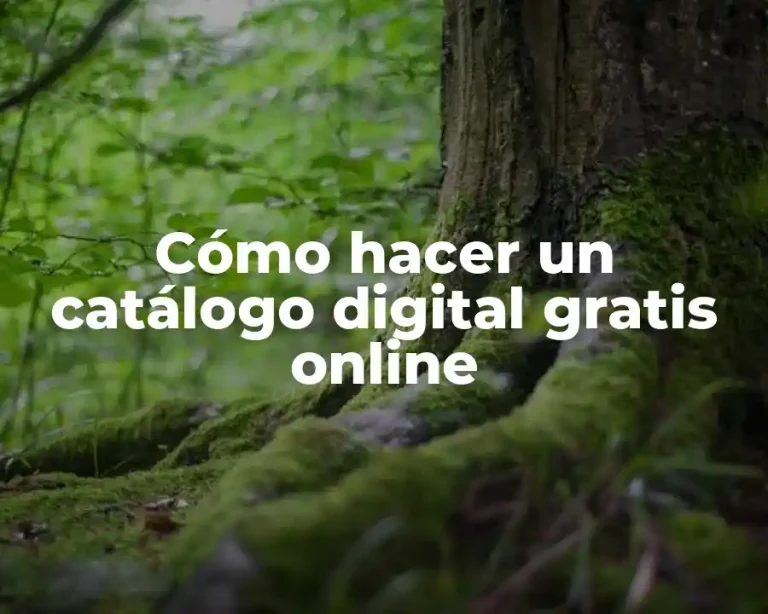 Cómo hacer un catálogo digital gratis online