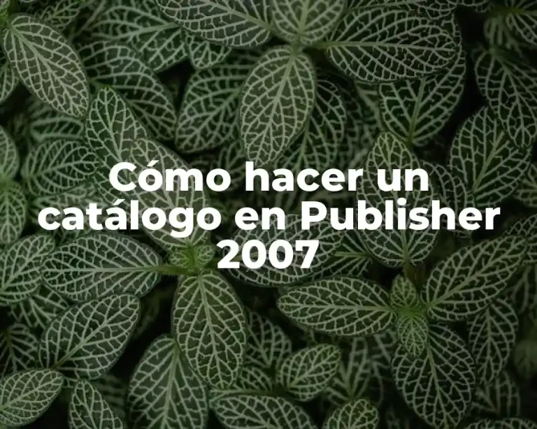 Cómo hacer un catálogo en Publisher 2007